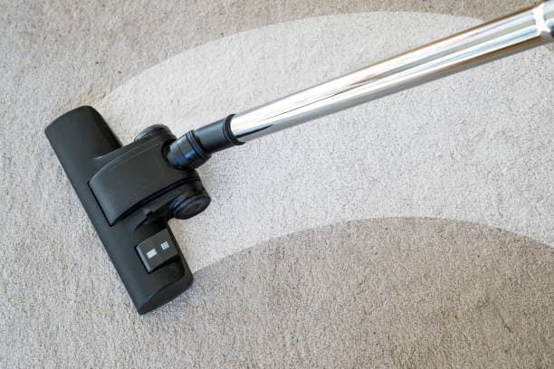 Revive Your Carpets, Refresh Your Home – Expert Tips for a Cleaner, Healthier Space!