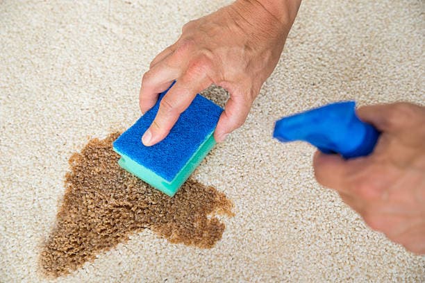 Say Goodbye to Stubborn Carpet Stains!